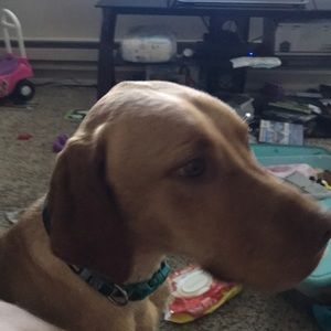 Meet your Posher, Michael